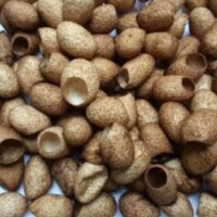 cocoon_material_01_peel