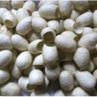 cocoon_material_03_white